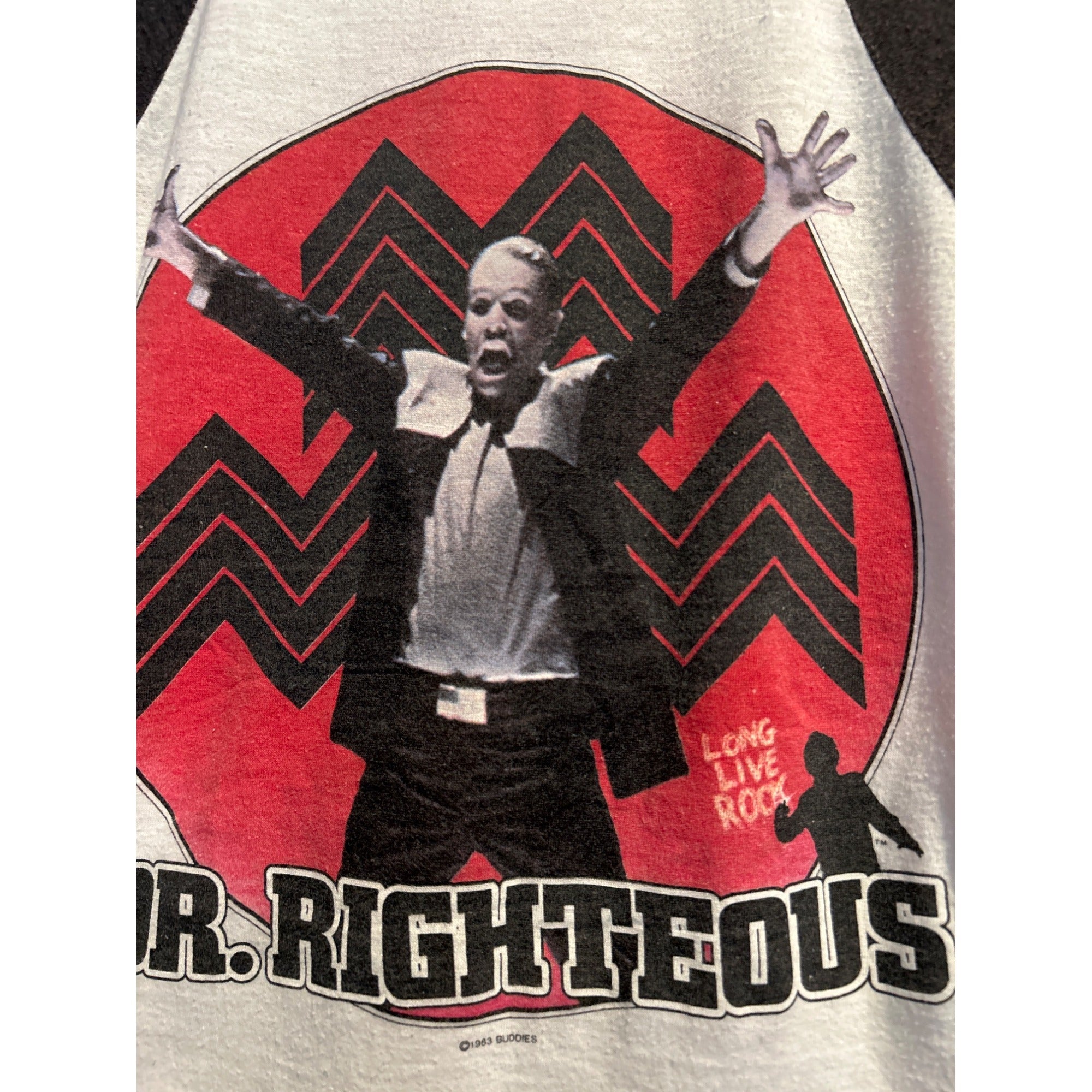 Vtg 1983 Styx Dr Righteous T Shirt Raglan Double Sided Band Tour Rock Tee